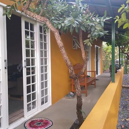 Jardim Da Lila - Um Recanto De Paz Em Alto Paraiso Alto Paraíso de Goiás Exterior foto